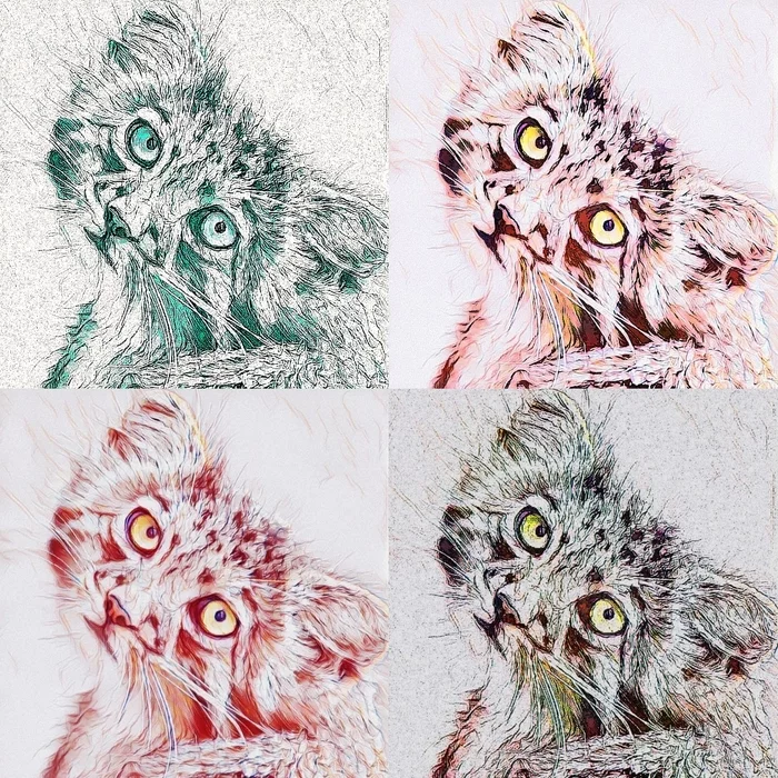 All colored manulo dreams - Pallas' cat, Pet the cat, Small cats, Cat family, Predatory animals, Wild animals, Art