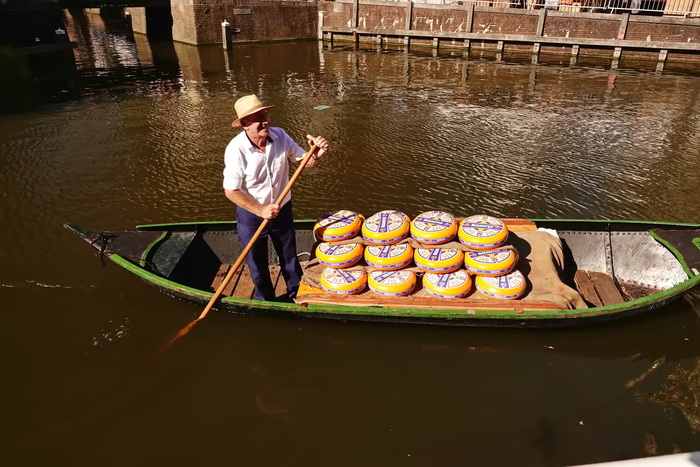 Сырный рынок в городе Алкмар