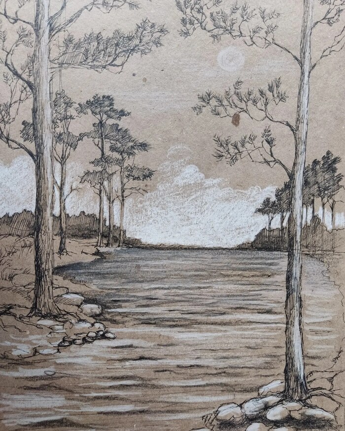 ��������