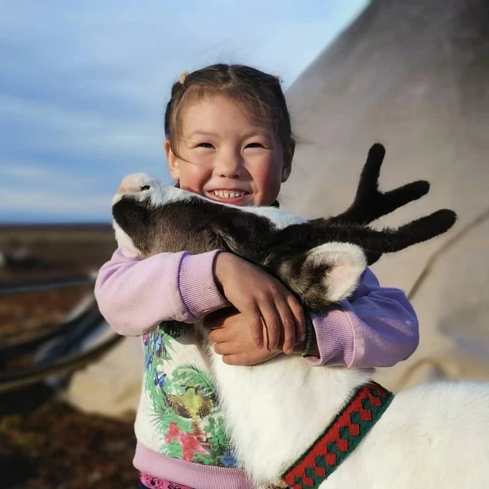 Vorkuta residents have their own pets - Vorkuta, Pets, Deer, Nenets, The photo