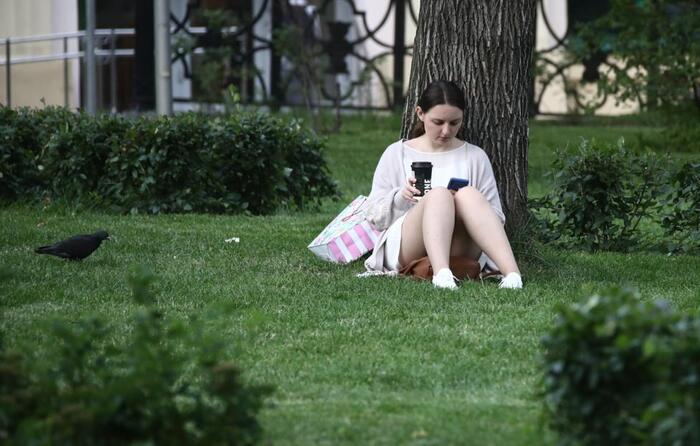 Apple потребовала от Rutube скрыть контент государственных СМИ в iOS-приложении