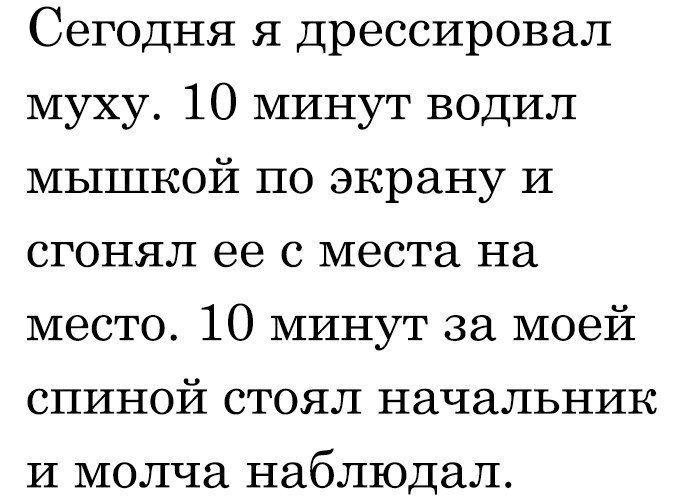 Дрессировка - Работа, Начальство, Дрессировка, Картинка с текстом