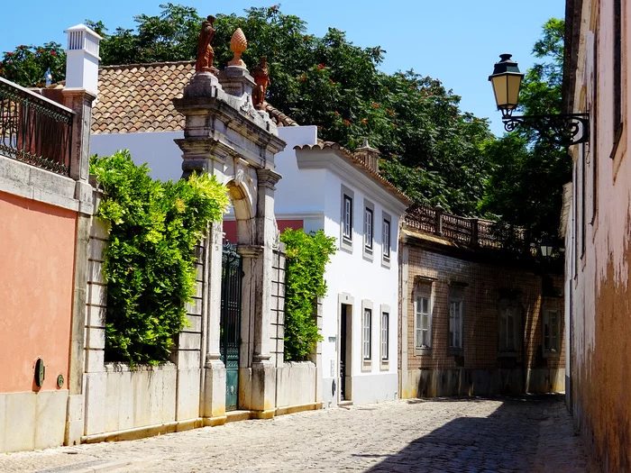 Dinner in the center of Faro - My, Travels, Portugal, Algarve, Faro, The street, A restaurant, Food, The photo, Michelin, Longpost, Seafood