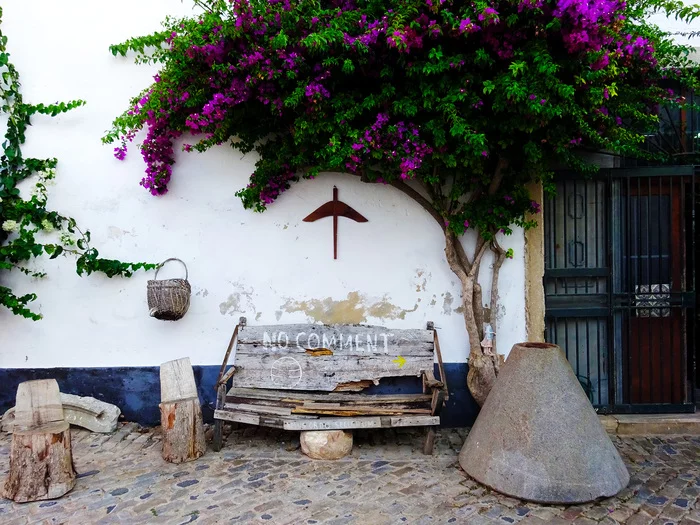 Dinner in the center of Faro - My, Travels, Portugal, Algarve, Faro, The street, A restaurant, Food, The photo, Michelin, Longpost, Seafood