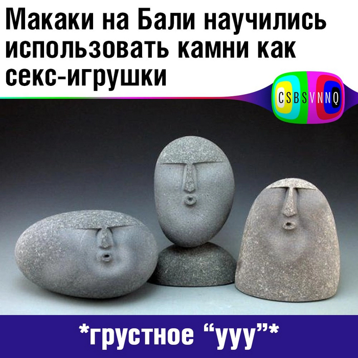 Они явно у кого-то подсмотрели