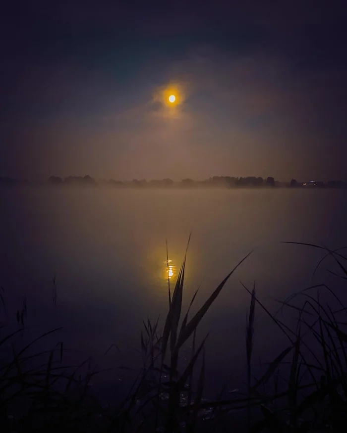 Night and sunrise in Aborino (Moscow region) - My, Nature, The photo, Mobile photography, Longpost, Bonfire, moon, Fog, Reflection, Night, Подмосковье