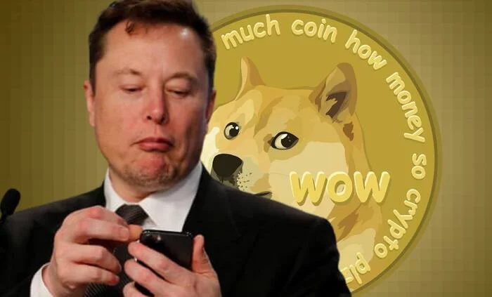 Elon Musk praises Dogecoin again - My, Cryptocurrency, Bitcoins, Stock exchange, Nft, Investments, Elon Musk, Doge