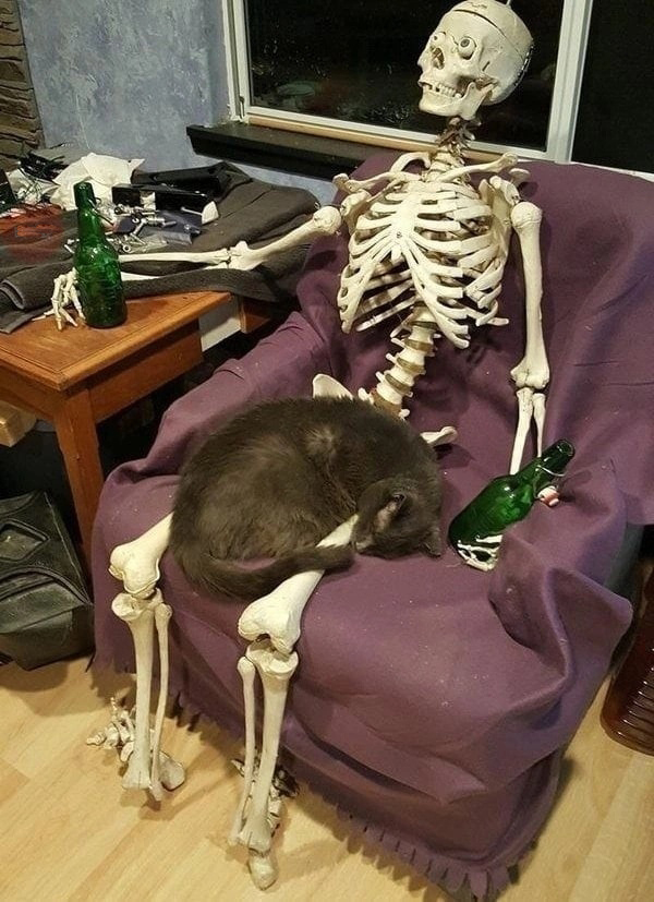 Hard working day Skeleton - My, Comics, Humor, Longpost, Skeleton, cat