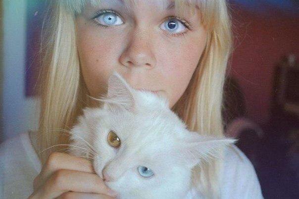 Anisocoria and heterochromia - Anisocoria, Heterochromia, cat, The photo, Interesting