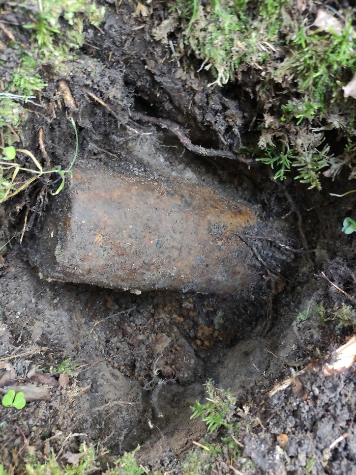 ����� �� �� ����������?