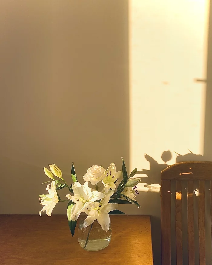 Sunbeam embraces lilies - My, Ray, Lily, Morning, Cosiness, Heat