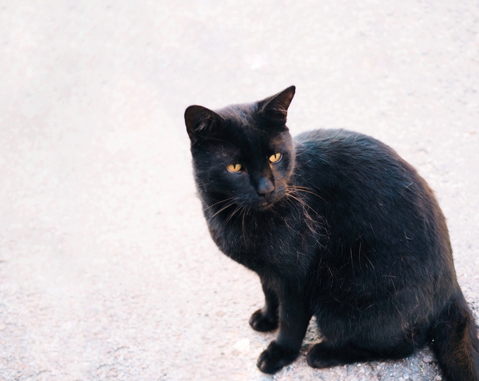 ������, �����!