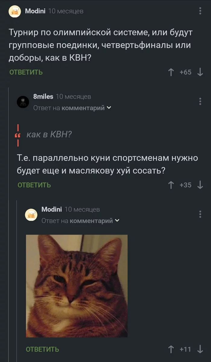 KVN - Humor, Screenshot, Comments, Comments on Peekaboo, KVN, Cunnilingus, Blow job, Alexander Maslyakov, cat, Mat