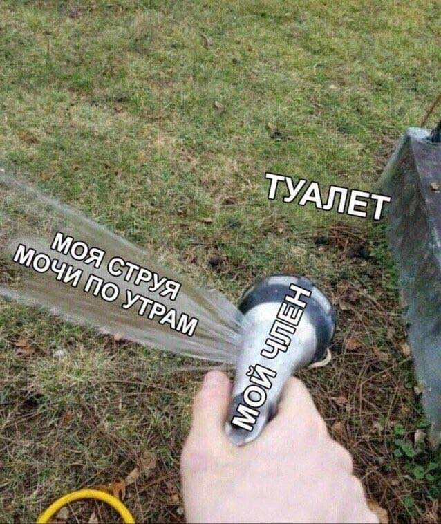Утрений посыл