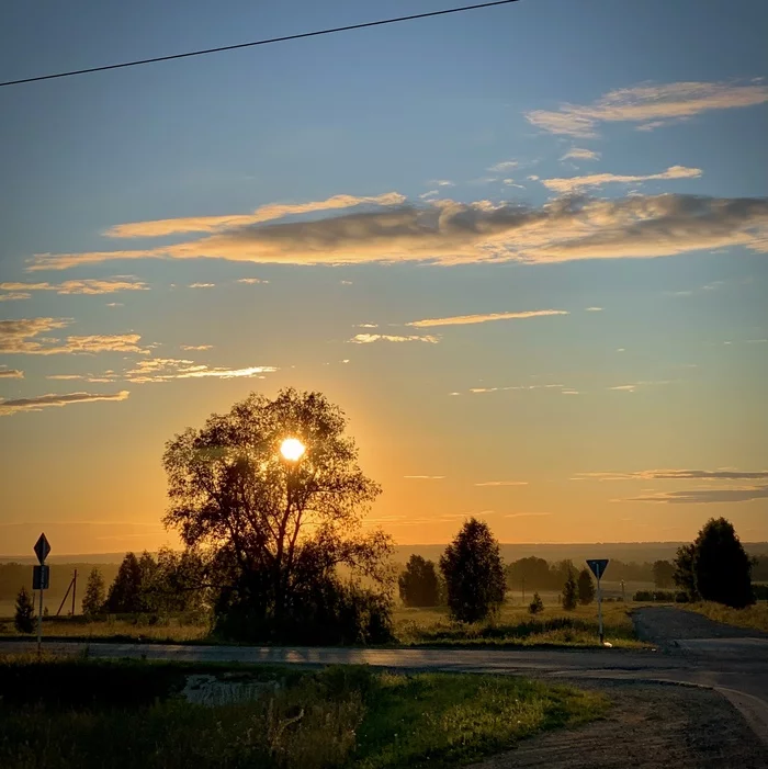 Sunset en route - My, Nature, Novosibirsk, Sunset, Mobile photography, Sky, Clouds, Tree