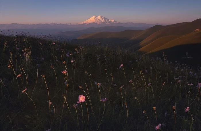 Elbrus - The photo, Russia, beauty, The mountains, Elbrus, Nature, beauty of nature, The nature of Russia, Flowers, Landscape, Caucasus