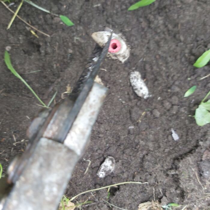   ?  , , ,  , 