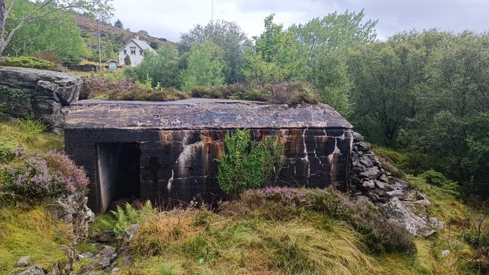 beautiful - My, Norway, Sea, Forest, Pillbox, Lake, Travels, Video, Longpost, Fjords