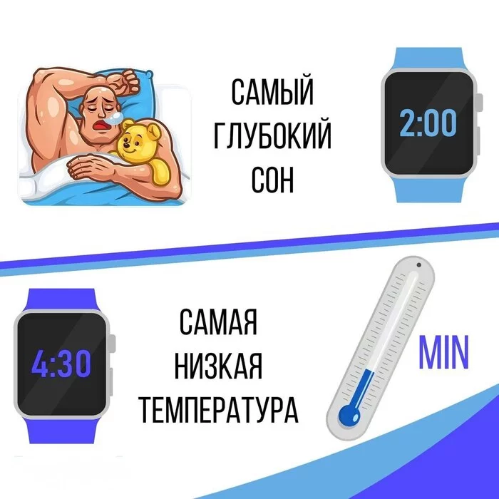 Циркадные ритмы - биологические часы твоего организма - ЗОЖ, Тренер, Фитнес, Тренировка, Похудение, Бег, Мотивация, Лишний вес, Саморазвитие, Здоровье, Опыт, Личный опыт, Длиннопост