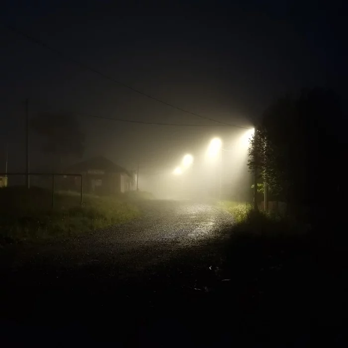 predawn silence - My, Mobile photography, Nature, Night, The street, Lamp