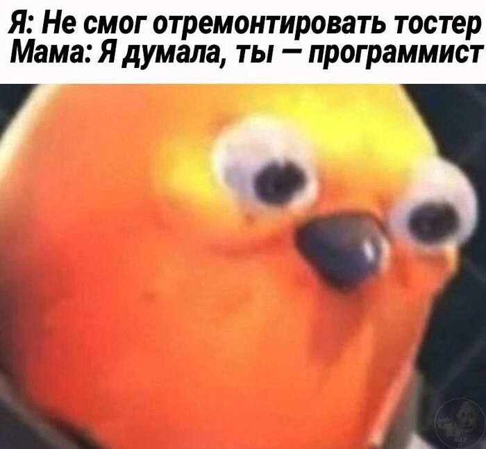 Зря деньги на обучение отдавала