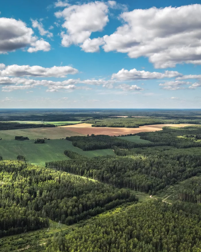 At the end of summer in the Golyshevo area - My, The photo, Summer, Dji, Nature, Aerial photography, Forest, Sky, Clouds