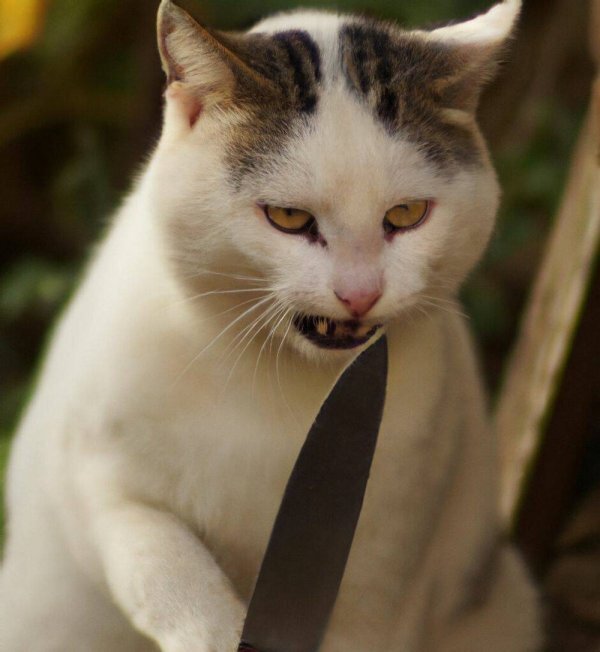 Когда зашел не в свой район