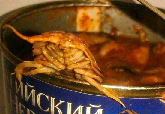 Sea cockroach: This strange creature is often found in canned fish. But there is nothing wrong or wrong with that. - Crayfish, Canned food, Animal book, Yandex Zen, Longpost, Isopod