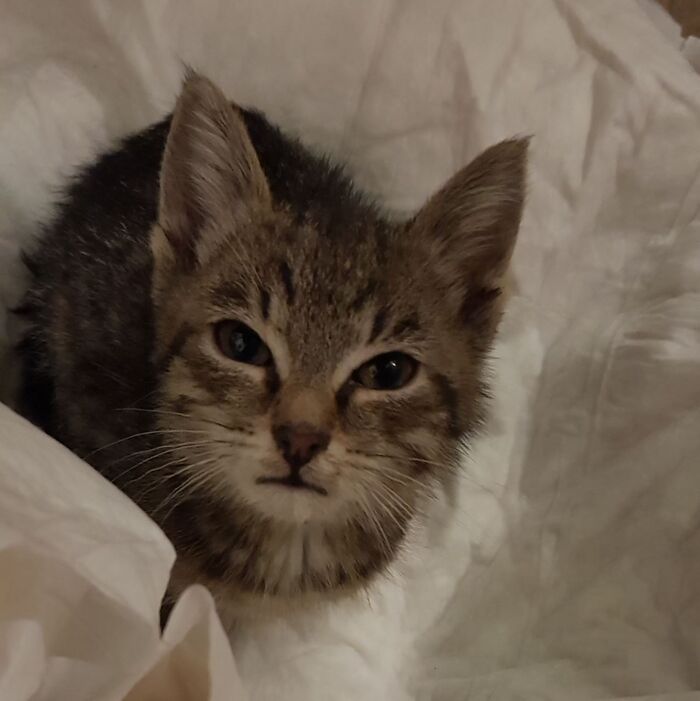 ������������� � ������ ����