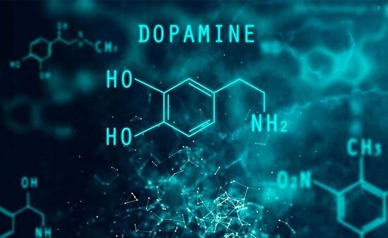 The effect of dopamine on the body: how it works and how to manage it. Part I: theory and practice - My, Brain, Motivation, Psychotherapy, The science, Research, Useful, Practice, Habits, Self-knowledge, Health, Nauchpop, Neurobiology, Longpost