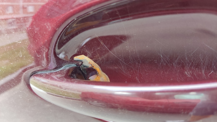 ��������� �� ������� ����