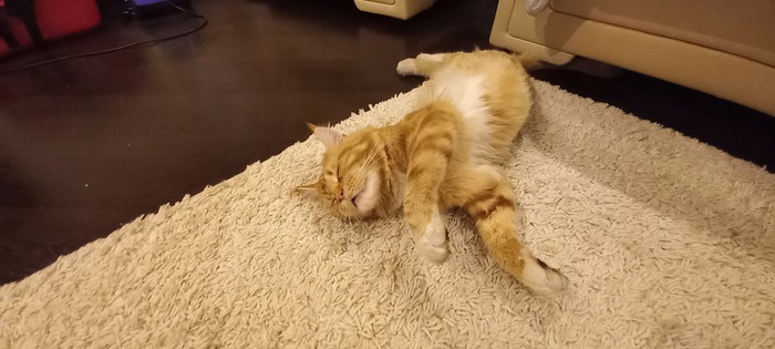 ��� � ������� ��������