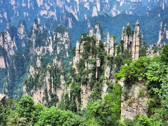 Zhangjiajie - Wulinguan - My, China, The photo, Mobile photography, Asia, The mountains, Nature, Tourism, Travels, Longpost