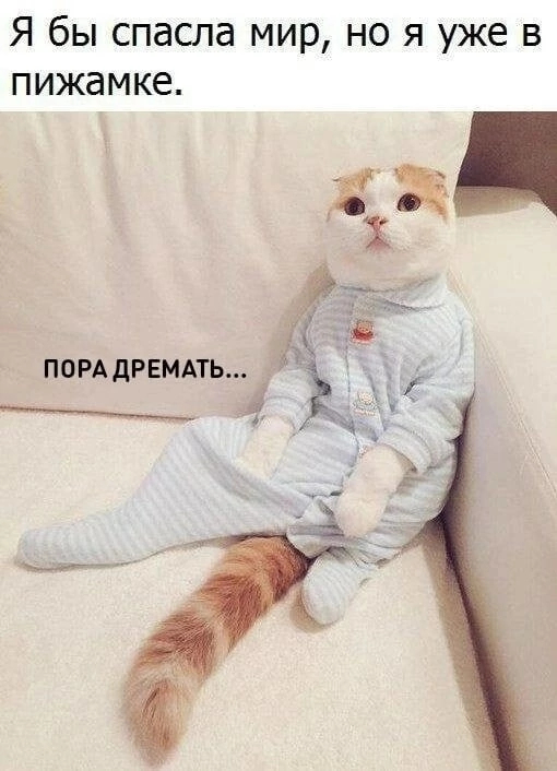 Pajamas - cat, Kittens, Fat cats, Pet the cat, Picture with text