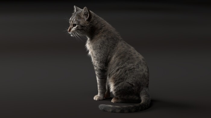 Cat , ArtStation, , , 3D, 