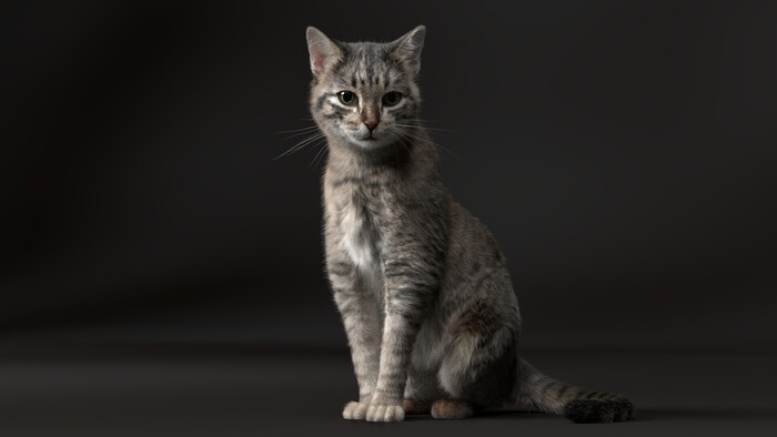 Cat , ArtStation, , , 3D, 