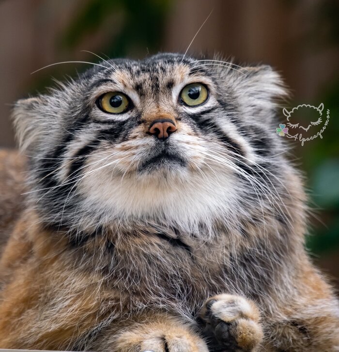 ����������� ���������� ������ �� ��������