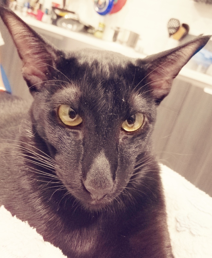 ���-������)