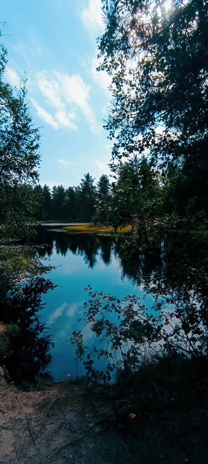 A little about beauty - My, Mobile photography, No filters, Nature, The Gulf of Finland, Kurortny district, Leningrad region, Lake, Longpost