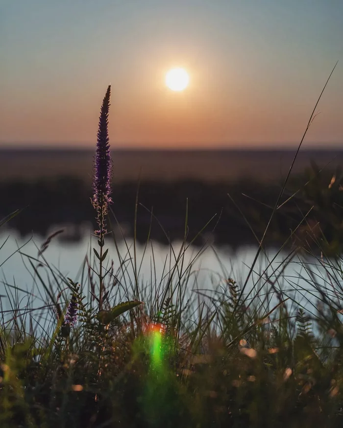 Sunset on the coast - My, The photo, Nature, Sunset, Longpost