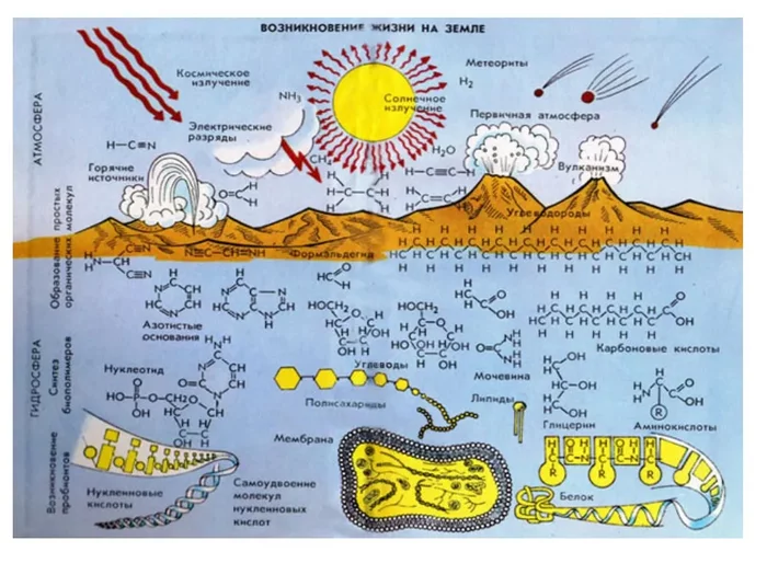 Life is generated automatically on all planets where the following conditions exist - Evolution, The science, Longpost