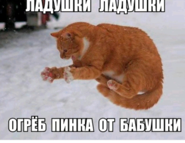 Ladushki - Humor, cat, Picture with text, Rhyme, Redheads