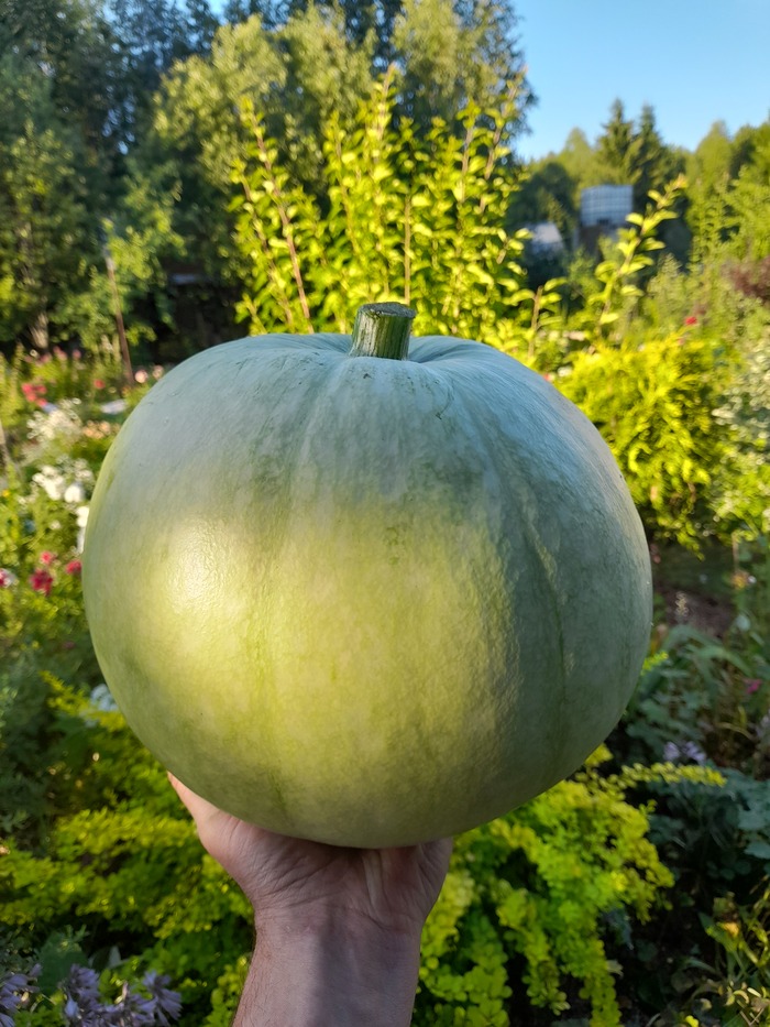 По гарантии...