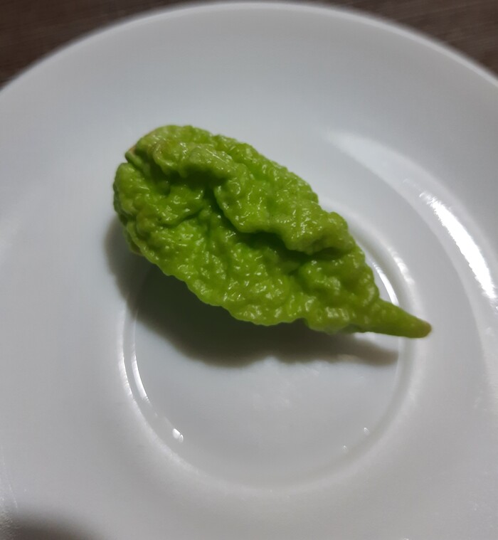   , , 