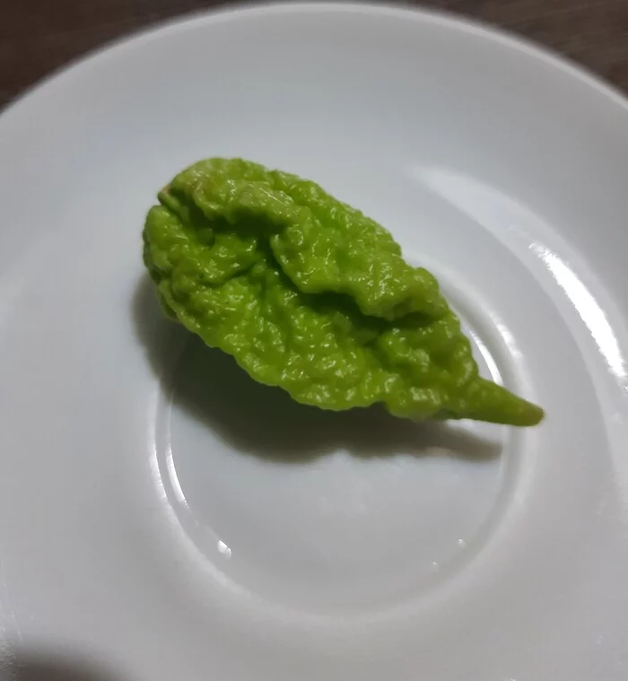 Scoville identification - My, Longpost, Pepper farming, Identification