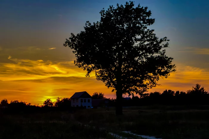 On the Sunset - My, The photo, Sunset, Nature, Summer, Heat, Mosquitoes, Longpost