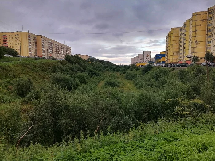 Snezhnogorsk, Murmansk region - My, But, Snezhnogorsk, Aleksandrovsk, Overhaul, Quality, Administration, Murmansk, Video, Overview, Poetry, Poems, Problem, People's Control, Philosophy