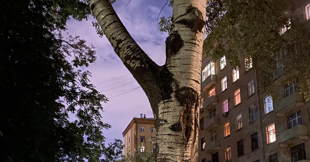 Коренной москвич | Пикабу