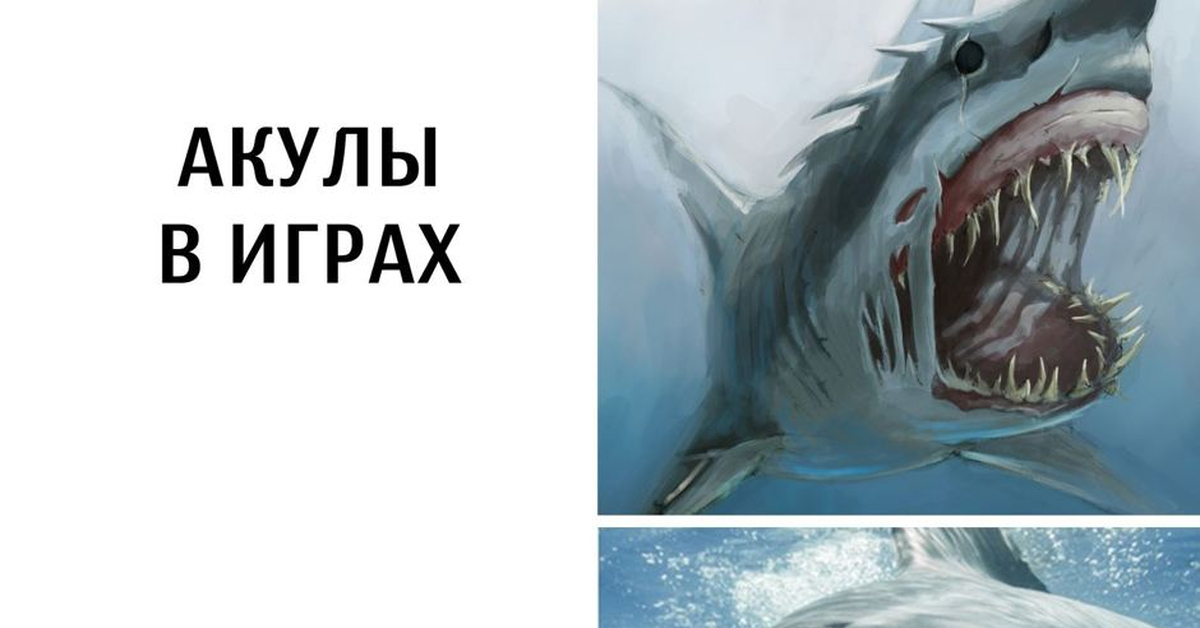 Пон акула мем