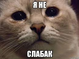    (MMO)RPG... RPG, , , , , 